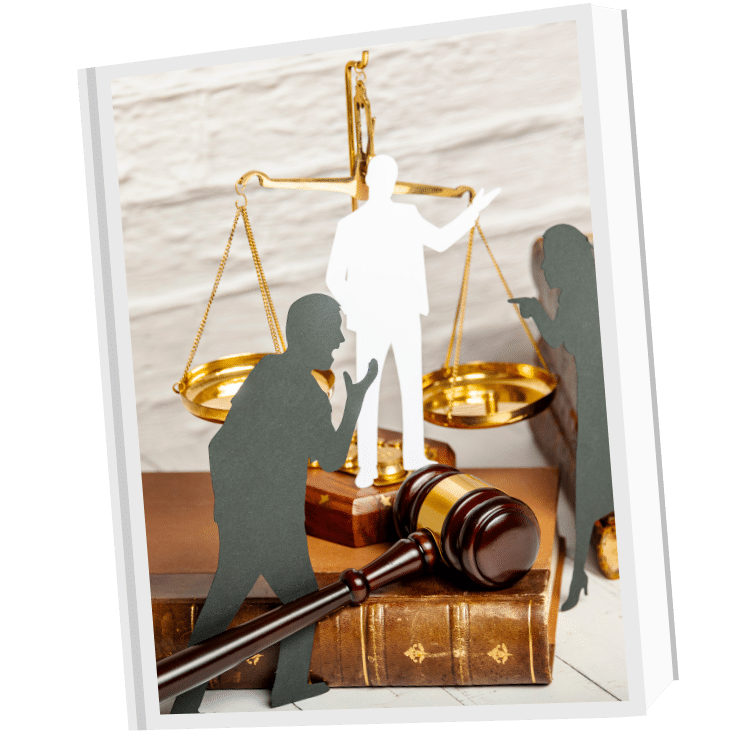 Court Proceedings